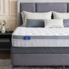 Can any size mattress fit on a queen size bed frame